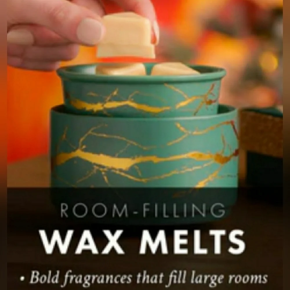 SWEET KIWI & STARFRUIT -Bath & Body Works Candle Wax Melts- $8 per pack